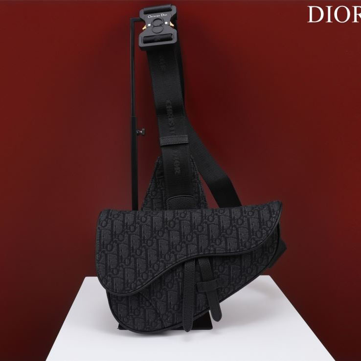 Christian Dior Saddle Bags - Click Image to Close